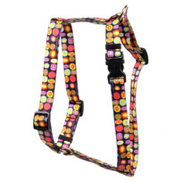 Bright Fun Roman Style "H" Dog Harness Bright Fun Roman Style "H" Dog Harness