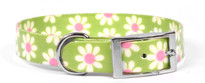 Green Daisy Elements Dog Collar Green Daisy Elements Dog Collar