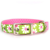 Green Daisy Uptown Dog Collar Green Daisy Uptown Dog Collar