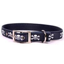 Skulls Uptown Dog Collar Skulls Uptown Dog Collar