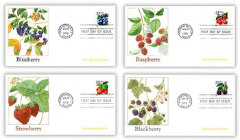 3294 - 3297 / 33c Fruit Berries PSA Booklet Set of 4 Fleetwood 1999 FDCs 3294 - 3297 / 33c Fruit Berries PSA Booklet Set of 4 Fleetwood 1999 FDCs