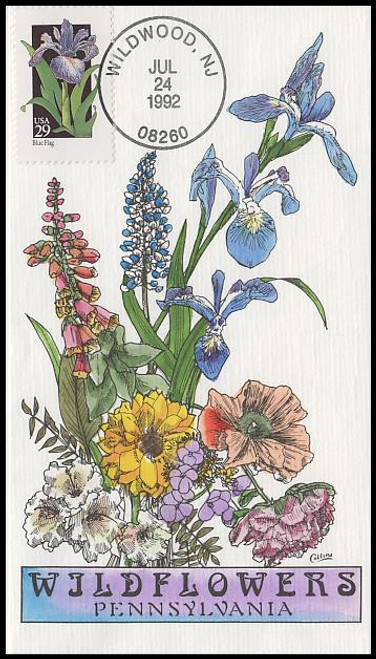 2663 / 29c Blue Flag Wildflower 1992 Collins Hand Painted First Day Cover 2663 / 29c Blue Flag Wildflower 1992 Collins Hand Painted First Day Cover