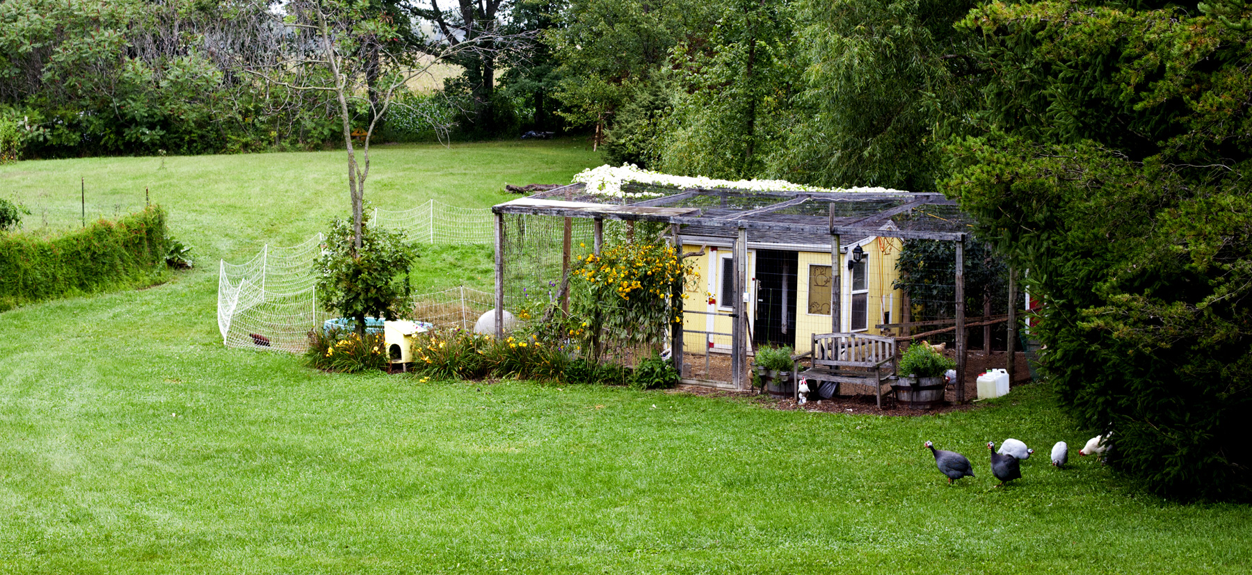 Shed Windows and More