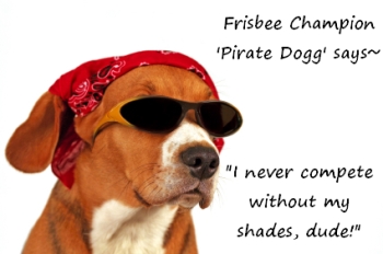 Pirate Dogg