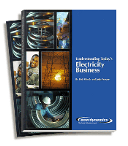 Understanding Today's Electricity Business