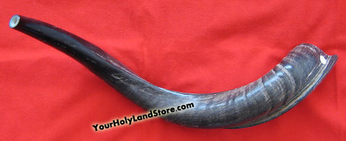 big horn jewish singles Small ram's rams horn shofar 9-12 medium from israel new jewish music 44 out of 5 polished ram horn shofar with wide bend and natural colors. big horn jewish singles Small ram's rams horn shofar 9-12 medium from israel new jewish music 44 out of 5 polished ram horn shofar with wide bend and natural colors.