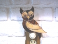 owl-ntlt.jpg