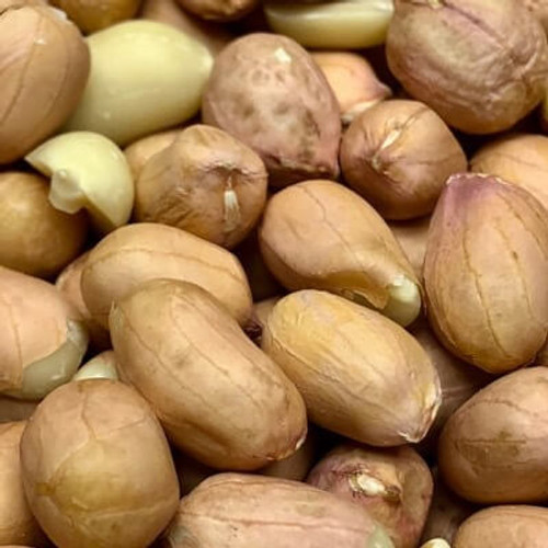 Raw Spanish peanuts. No shell. Sold by the lb. Raw Spanish peanuts. No shell. Sold by the lb.