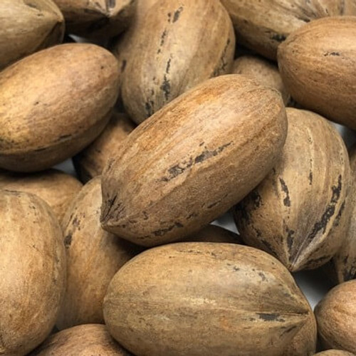 In shell pecans. Sold by the lb. In shell pecans. Sold by the lb.