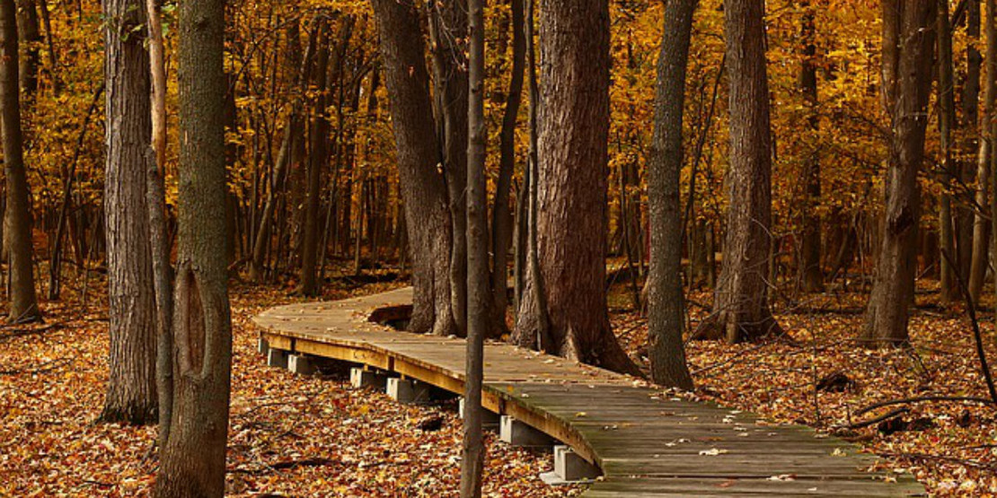 Family Friendly Fall Activities Family Friendly Fall Activities