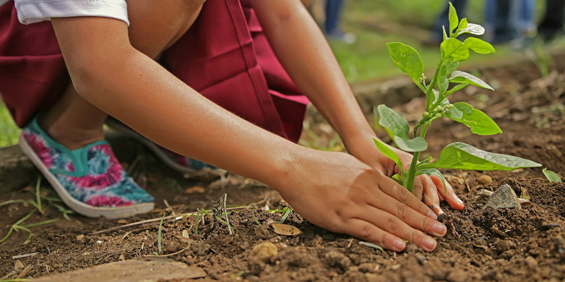 Tips for Starting Your Garden in Northeast Ohio Tips for Starting Your Garden in Northeast Ohio