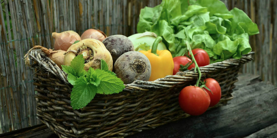 Garden Care After Fall Harvest Garden Care After Fall Harvest