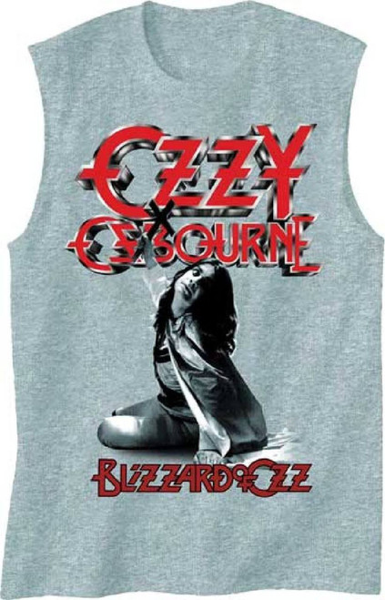 cd ozzy osbourne blizzard of ozz