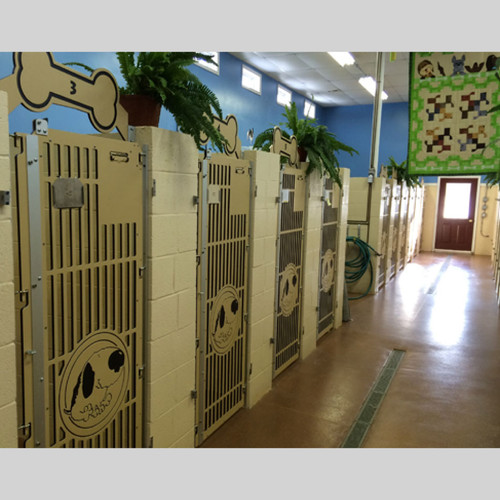 Dog Kennel gates.