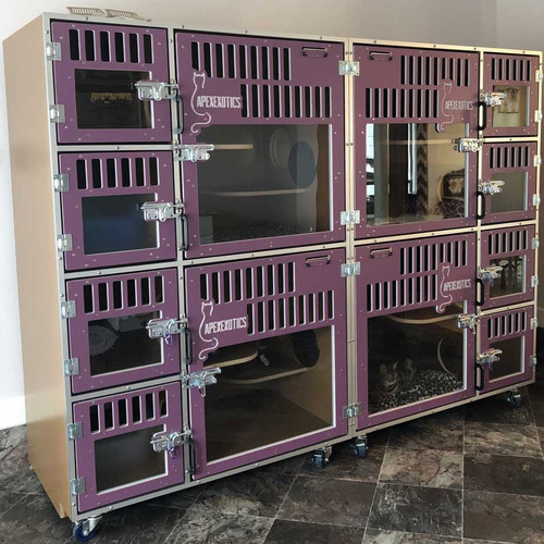 cat hotel cage-bank with custom gates.