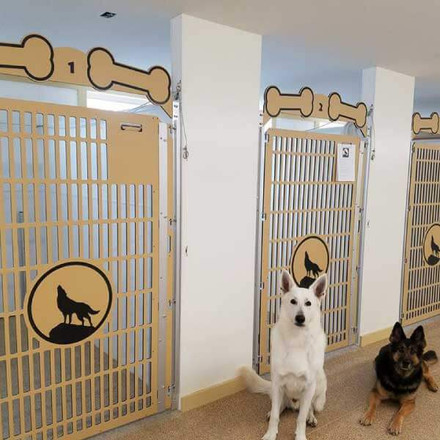 What to use to clean dog kennels?