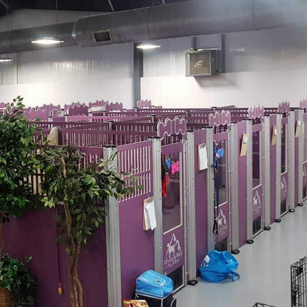 What is the best kennel layout?