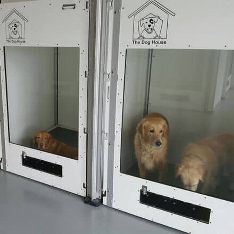 How does Gator Kennels make kennels safe?
