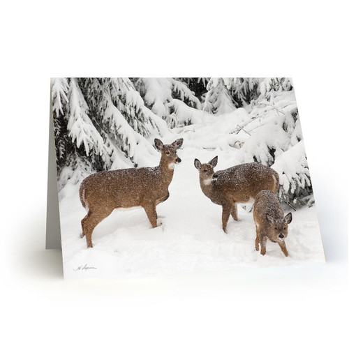 Deer 3 - HP100