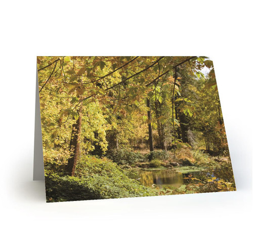 Fall at the Hatchery