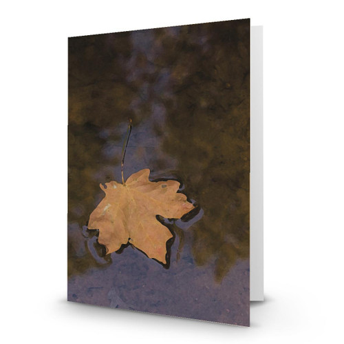 Floating Leaf