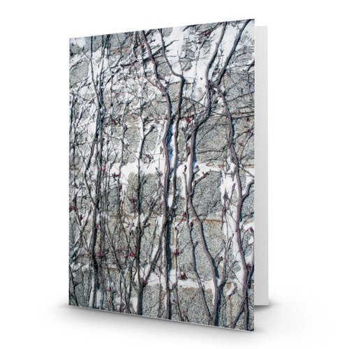 Background Winter Vines on Wall - CC100