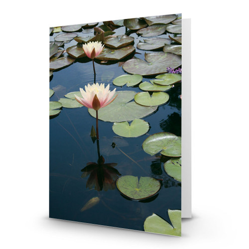 Blooming Lilies - CC100