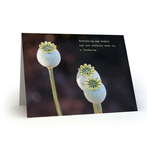 Confucius Poppy Pods - CB100