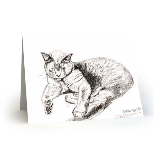 Baxter Cat - SB100