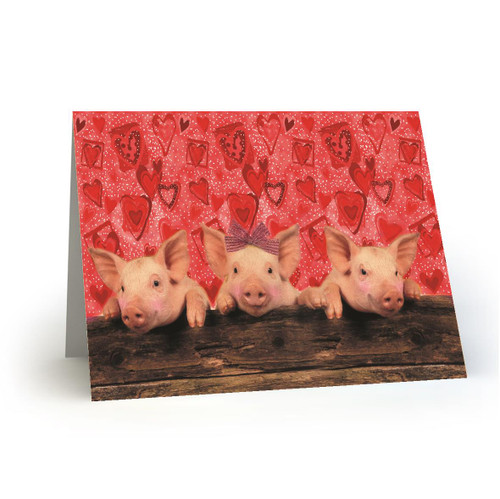 Pig-a-boo-3