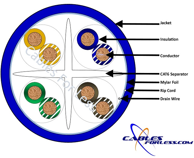 cross-section-25.jpg