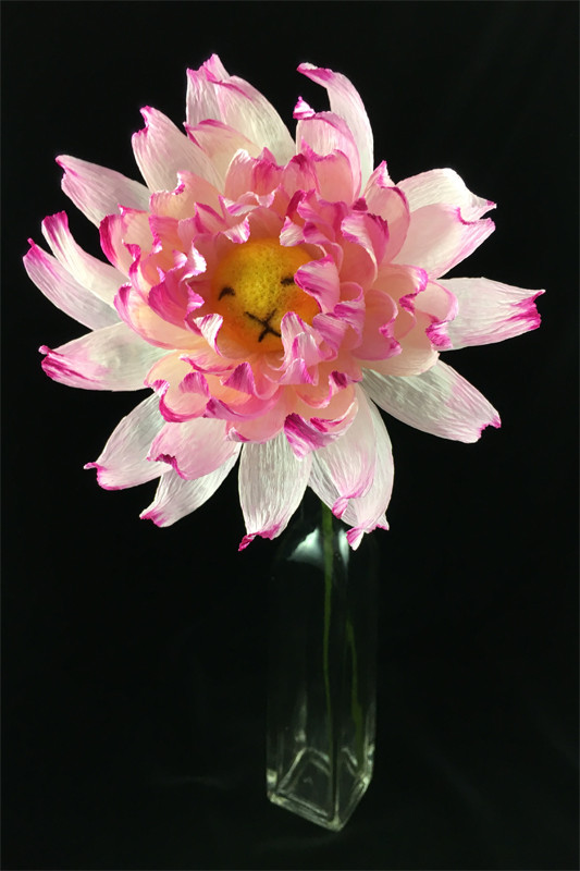 Pink Dahlia Flower Bun 1 by plushPLAY
