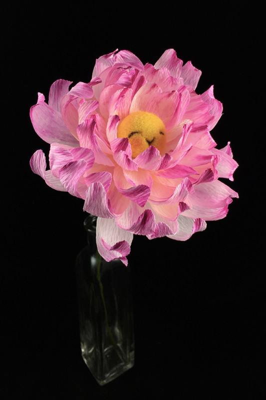 Pink Dahlia Flower Bun 2 by plushPlay
