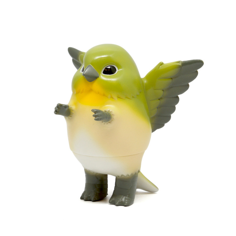 Pigora : White-Eye