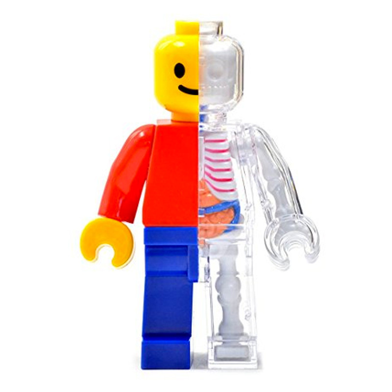 Brick Man Anatomy