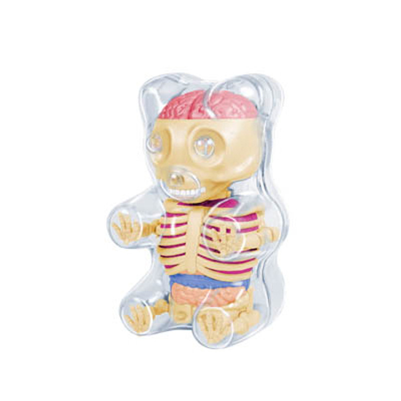 Mini Gummi Bear Anatomy : Clear