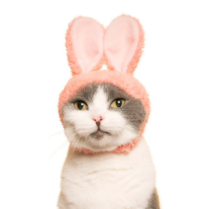Cat Cap Rabbit : Blind Box