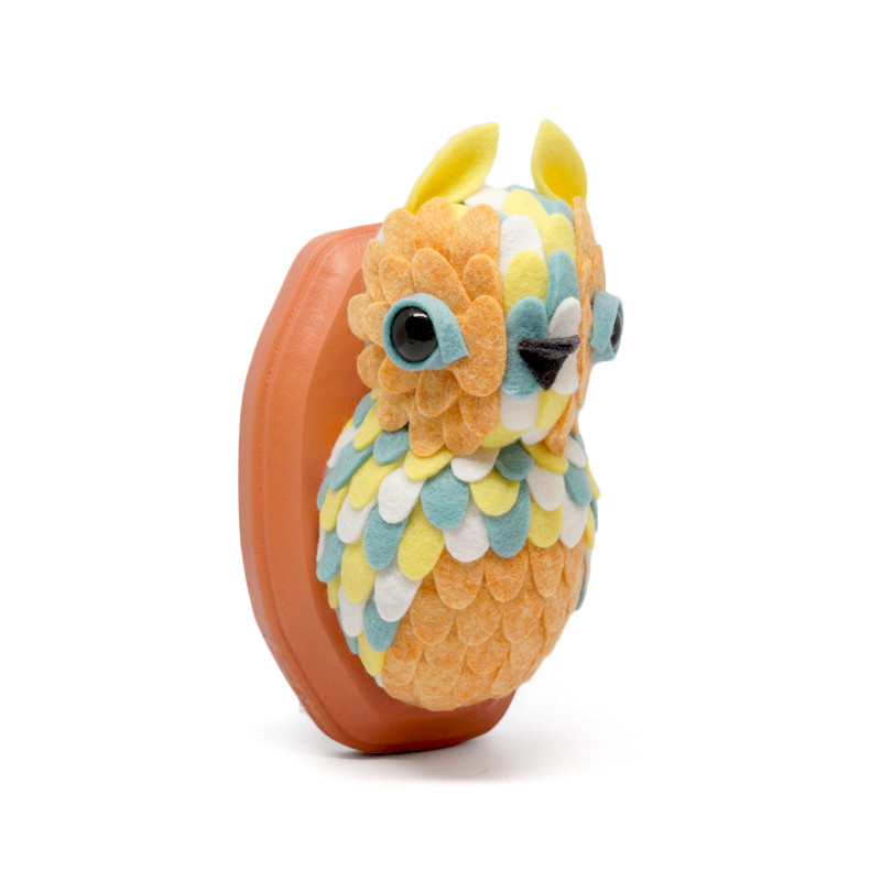 Lil' Hoot : Aidan
