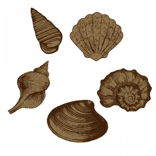 Creative Embellishments - Chipboard - Large Seashells