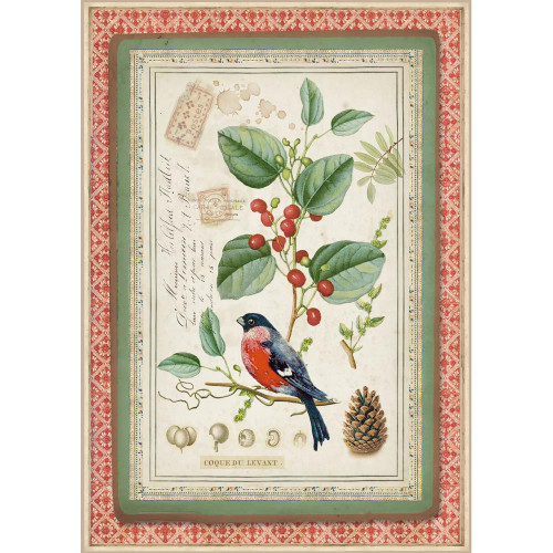 Stamperia - Winter Botanic Little Bird On Holly - Decoupage Rice Paper 8.25 x 11.5