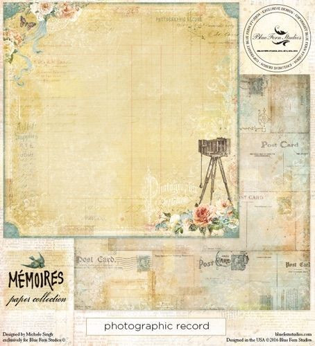 Blue Fern Studios - Memories 12x12 dbl sided paper - Photographic Record