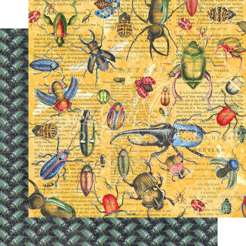 Graphic 45 - Flutter - Double sided 12x12 Paper - Serendipitous