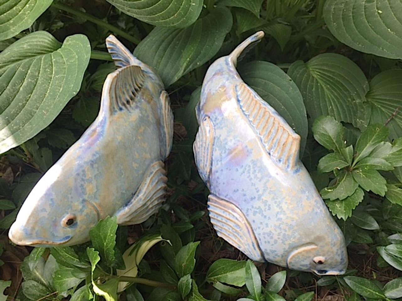 Medium New Blue Koi - Fish In The Garden LLC