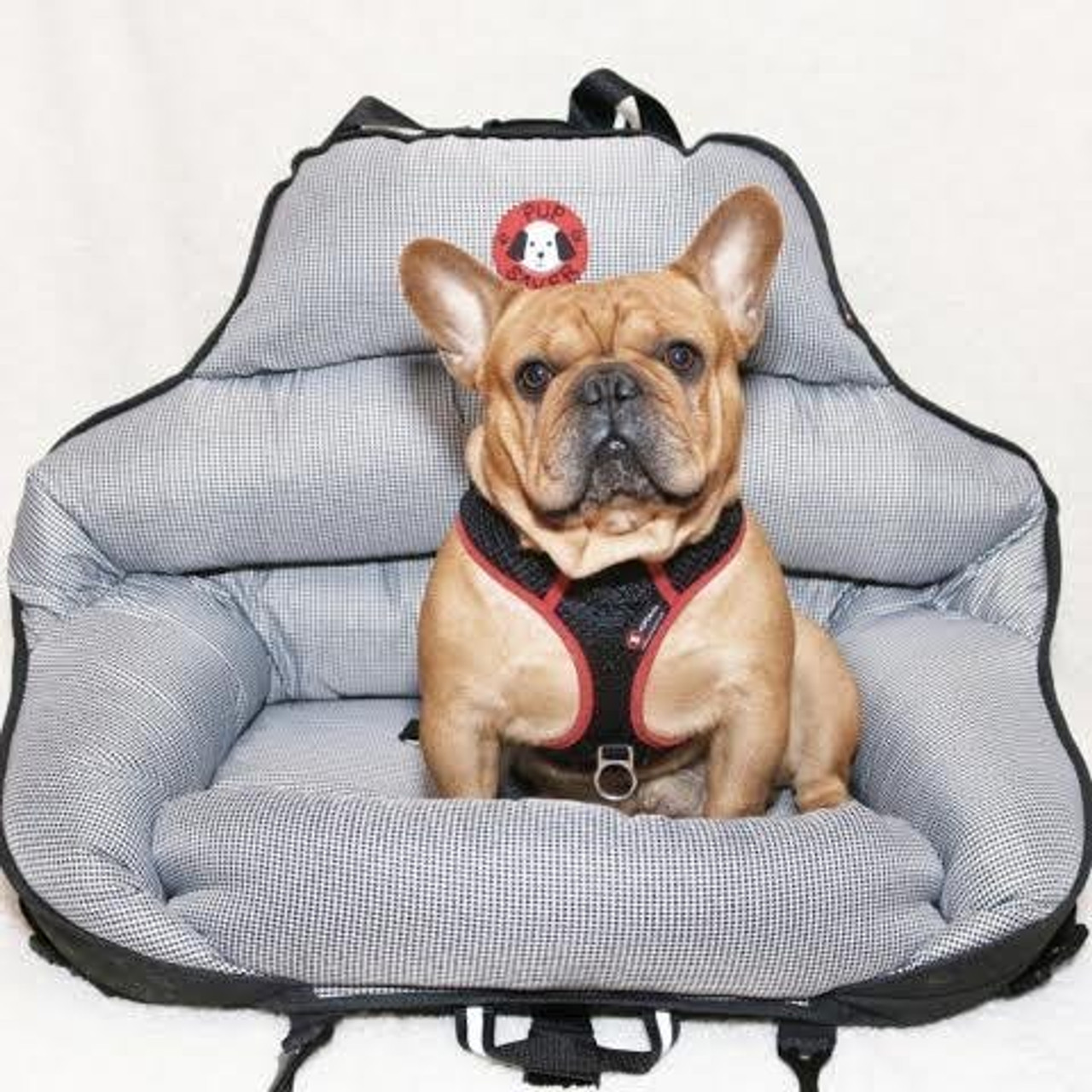 Pupsaver Crash Tested Car Safety Seat For Medium Sized