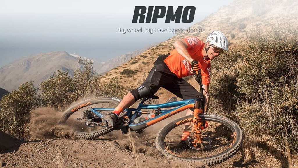 Mountain Bike Shop Custom Mountain Bikes EMTB We Ship Worldwide