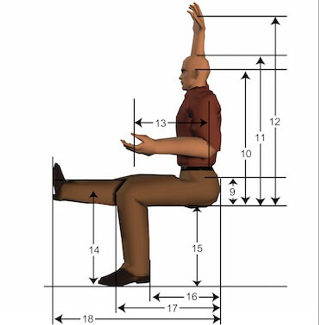 The Upright Seated Posture: Conventional Wisdom vs. Current Thinking