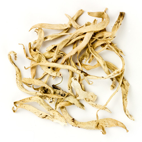 Snow Tea (Xue Cha) Snow Tea (Xue Cha)