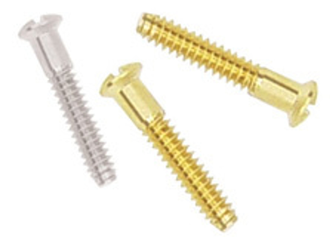 Coin Bezel Screws & Supplies