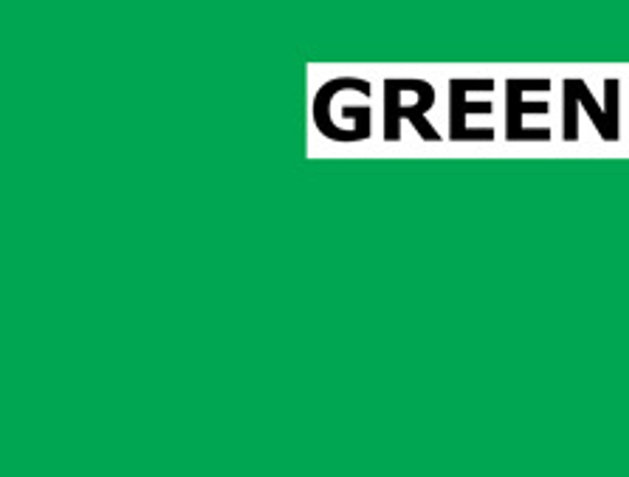 Green Color Leather Watch Bands