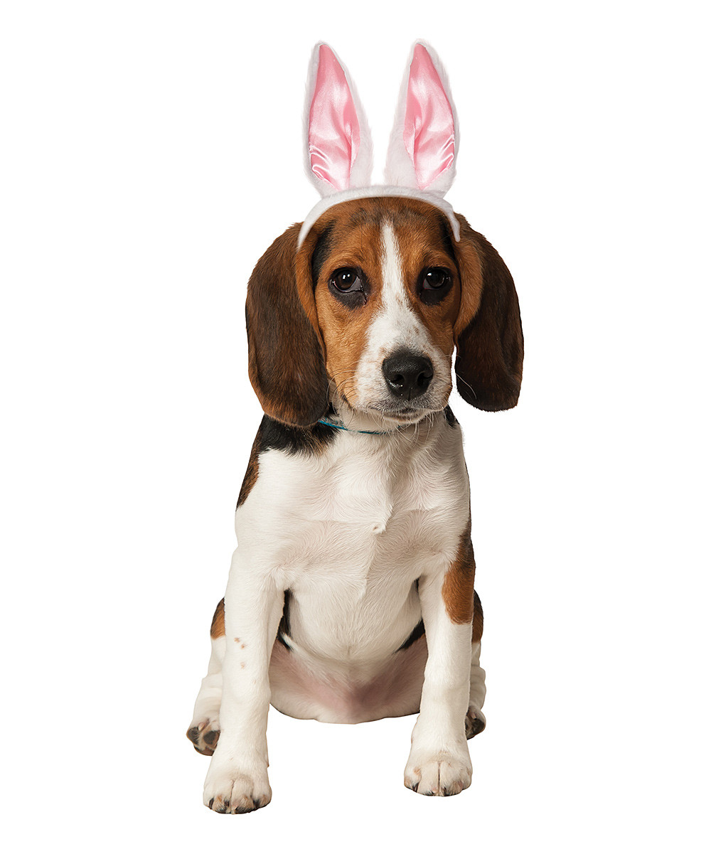 Pet Bunny Ears Easter Costume The Costume Shoppe